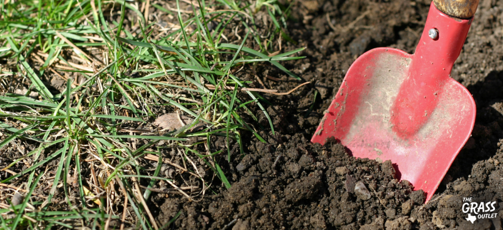 Digging the Grass