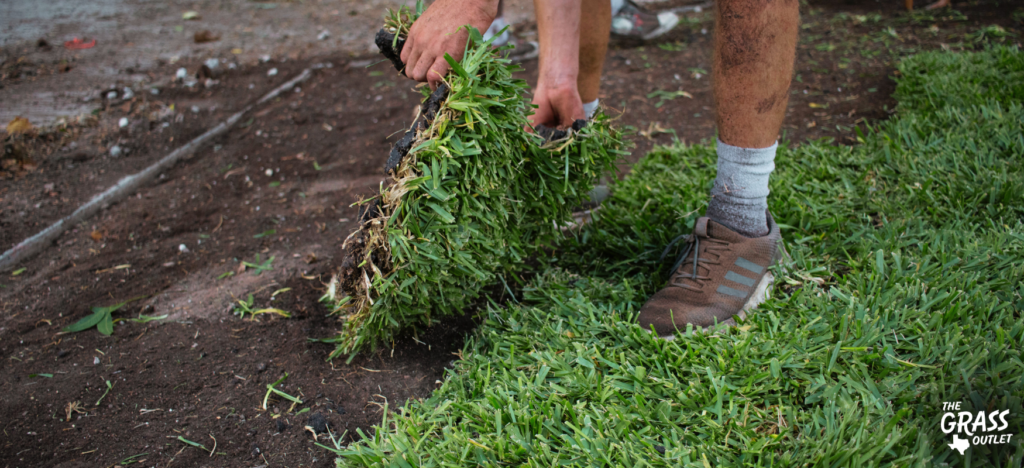 Laying sod is the fastest way to lawn