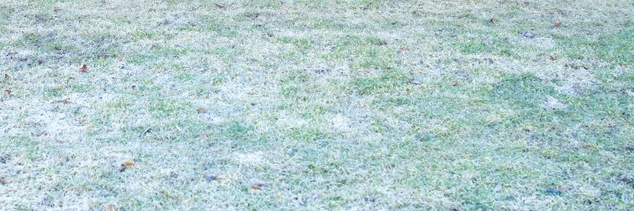 frosty lawn in the foreground on a winter day.