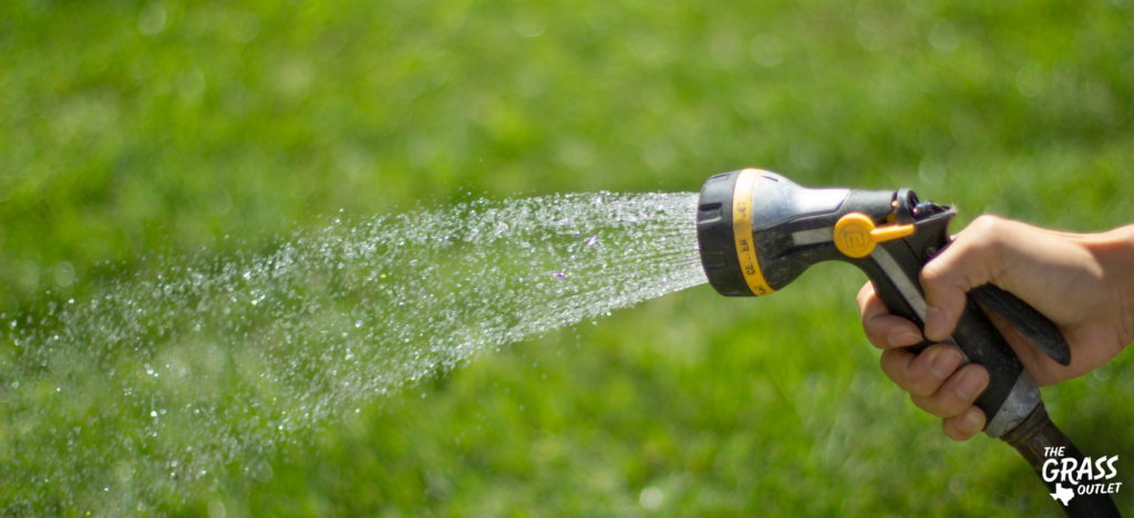 Watering the grass