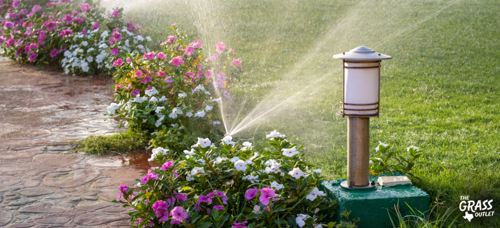 Watering the lawn