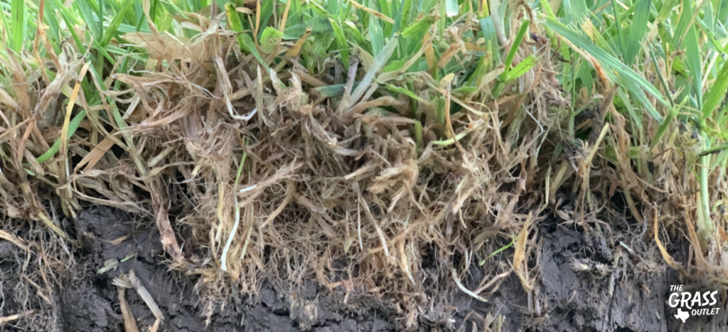 Thatch in the grass