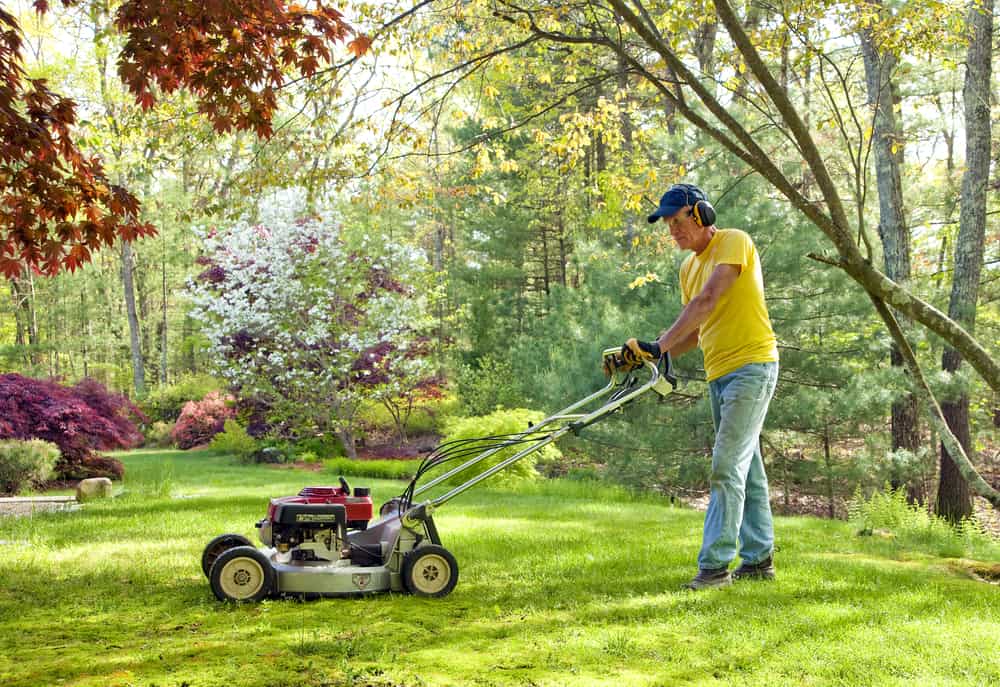 reuseing grass, grasscycling