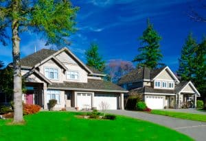 neighborhood with perfect grass and perfect trees