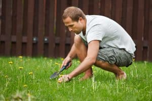 caucasian man crouching down in a slightly outgrown lawn