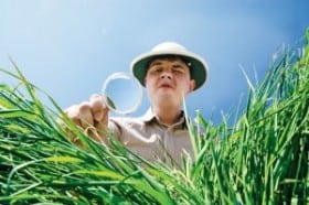 adventurer sleuthing in the grass