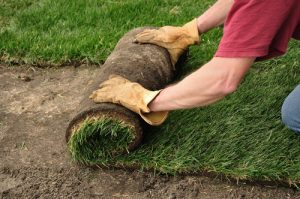 Laying Sod