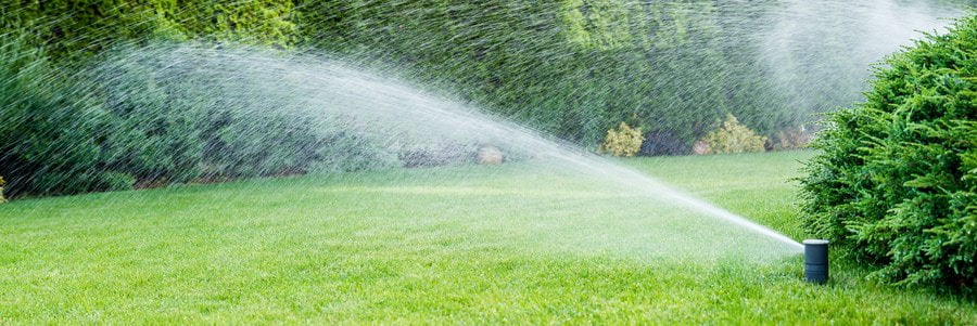 watering grass